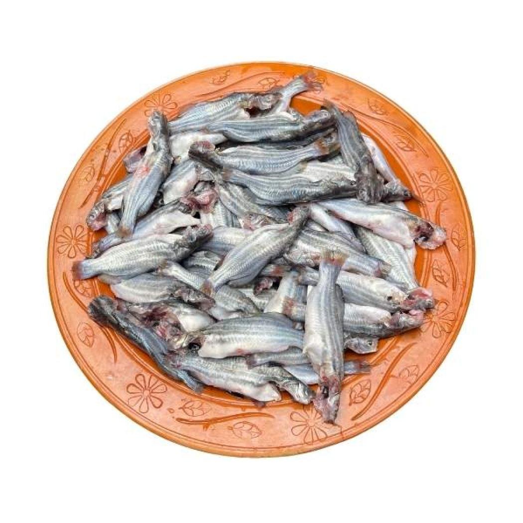 দেশি টেংরা মাছ